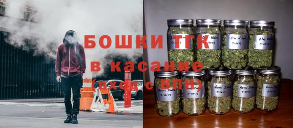 Альфа ПВП Гусев