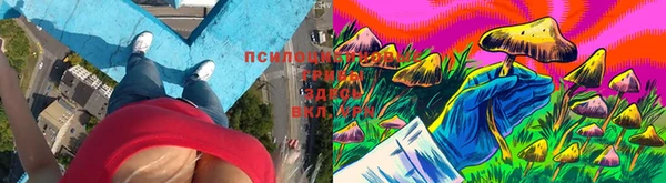 мет Магас