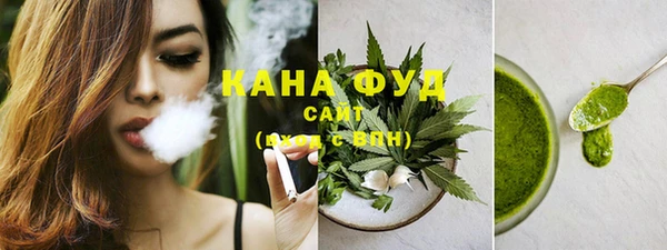 Альфа ПВП Гусев